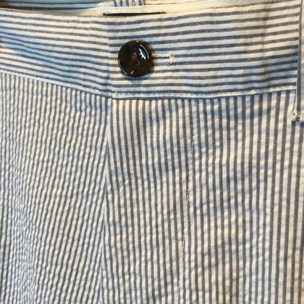 J. Crew Factory Seersucker The Chino Shorts Striped Size 36